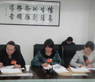 文化、衛(wèi)生界委員認真記錄委員討論內(nèi)容